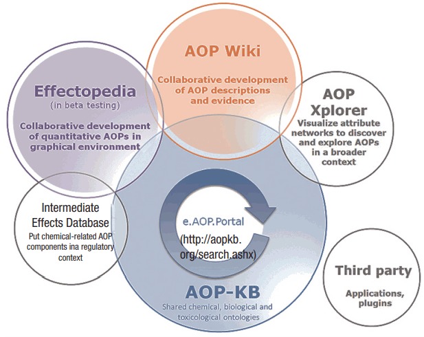 Use of adverse outcome pathways in chemical toxicity testing: potential advantages and limitations.