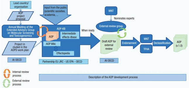 Use of adverse outcome pathways in chemical toxicity testing: potential advantages and limitations.