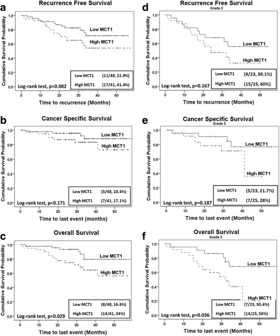 Monocarboxylate Transporter 1 (MCT1) is an independent prognostic biomarker in endometrial cancer.