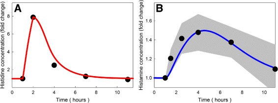 A mathematical model for histamine synthesis, release, and control in varicosities.