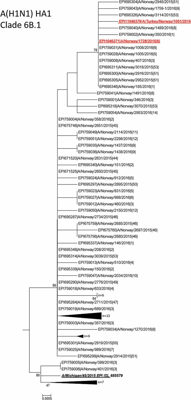 Human to animal transmission of influenza A(H1N1)pdm09 in a turkey breeder flock in Norway.