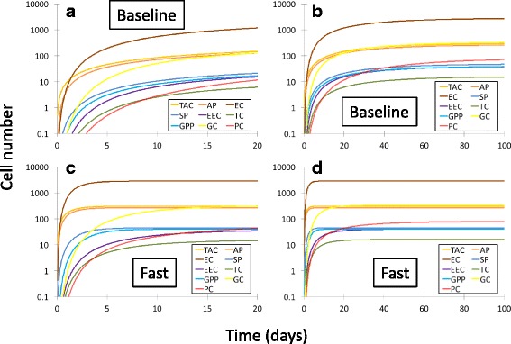 On the utility of a compartmental population kinetics model of intestinal epithelial stem cell proliferation and differentiation.