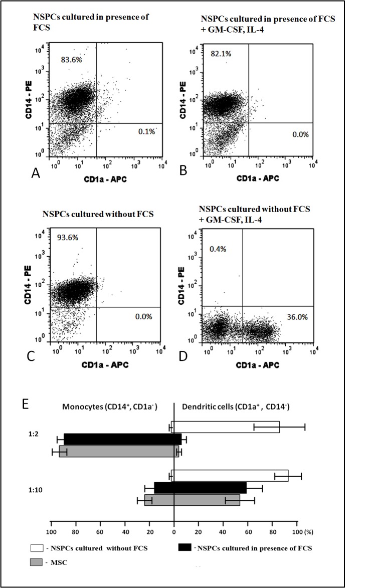 Neural stem/progenitor cells maintained <i>in vitro</i> under different culture conditions alter differentiation capacity of monocytes to generate dendritic cells.