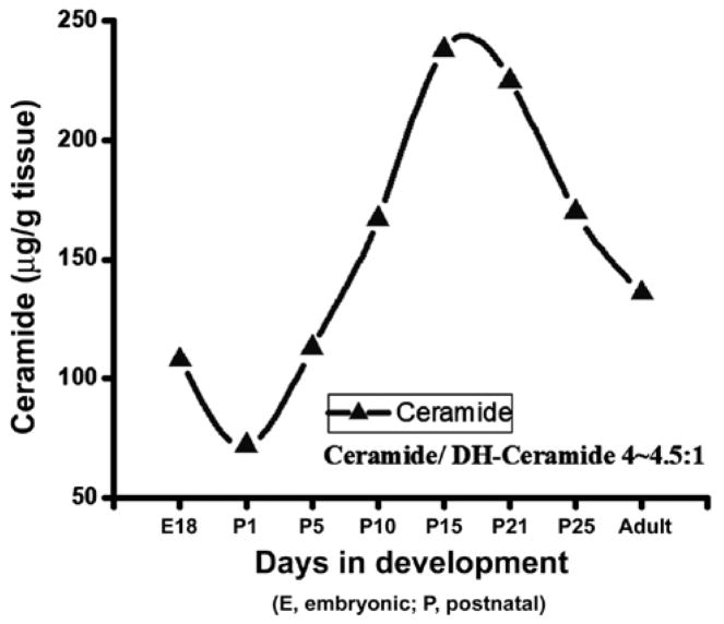 Diverse Biological Functions of Sphingolipids in the CNS: Ceramide and Sphingosine Regulate Myelination in Developing Brain but Stimulate Demyelination during Pathogenesis of Multiple Sclerosis.