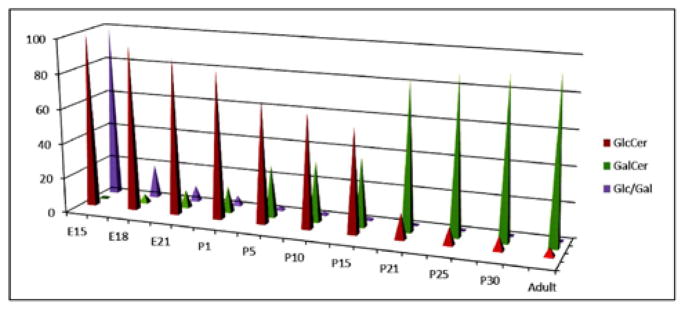 Diverse Biological Functions of Sphingolipids in the CNS: Ceramide and Sphingosine Regulate Myelination in Developing Brain but Stimulate Demyelination during Pathogenesis of Multiple Sclerosis.