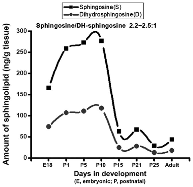 Diverse Biological Functions of Sphingolipids in the CNS: Ceramide and Sphingosine Regulate Myelination in Developing Brain but Stimulate Demyelination during Pathogenesis of Multiple Sclerosis.