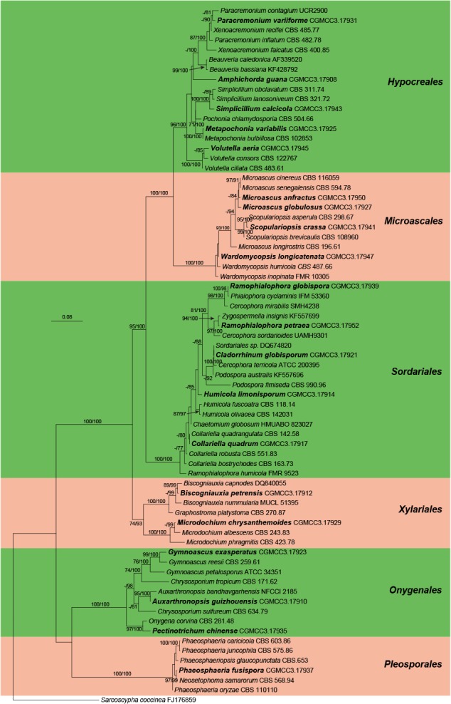 Culturable mycobiota from Karst caves in China, with descriptions of 20 new species.