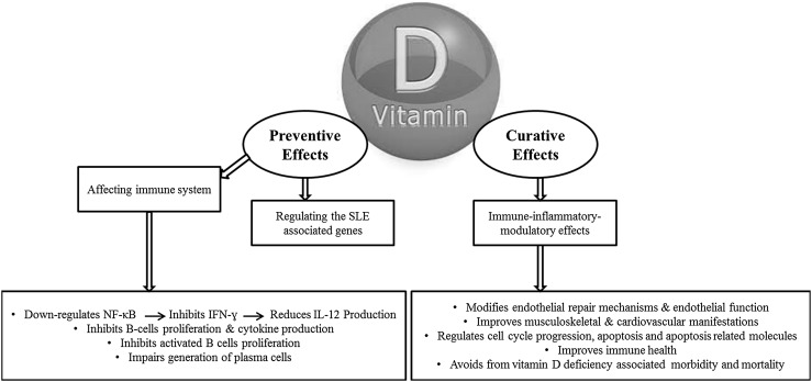 Role of vitamin D deficiency in systemic lupus erythematosus incidence and aggravation.