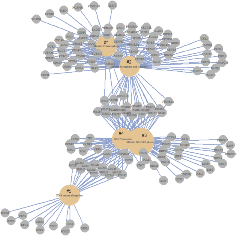 Signatures derived from increase in SHARPIN gene copy number are associated with poor prognosis in patients with breast cancer