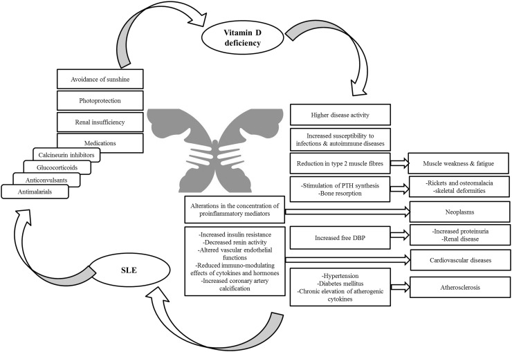 Role of vitamin D deficiency in systemic lupus erythematosus incidence and aggravation.