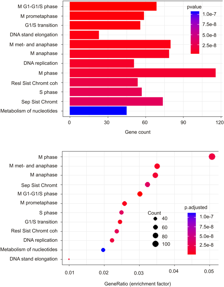 Signatures derived from increase in SHARPIN gene copy number are associated with poor prognosis in patients with breast cancer