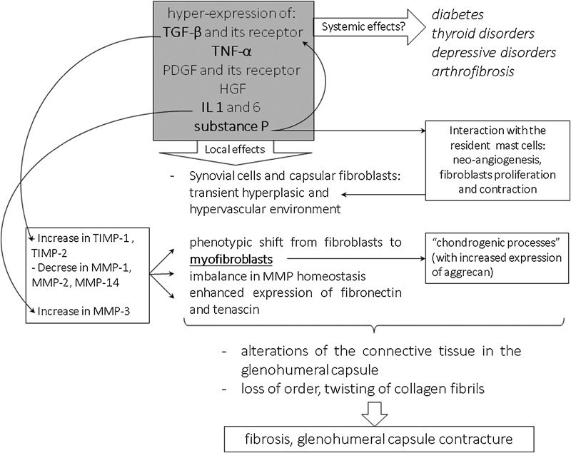 Risk Factors for Shoulder Stiffness: Current Concepts.