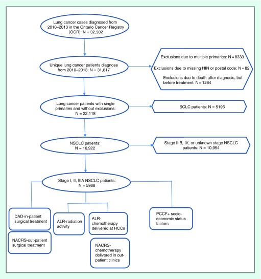 How equitable is access to treatment for lung cancer patients? A population-based review of treatment practices in Ontario.