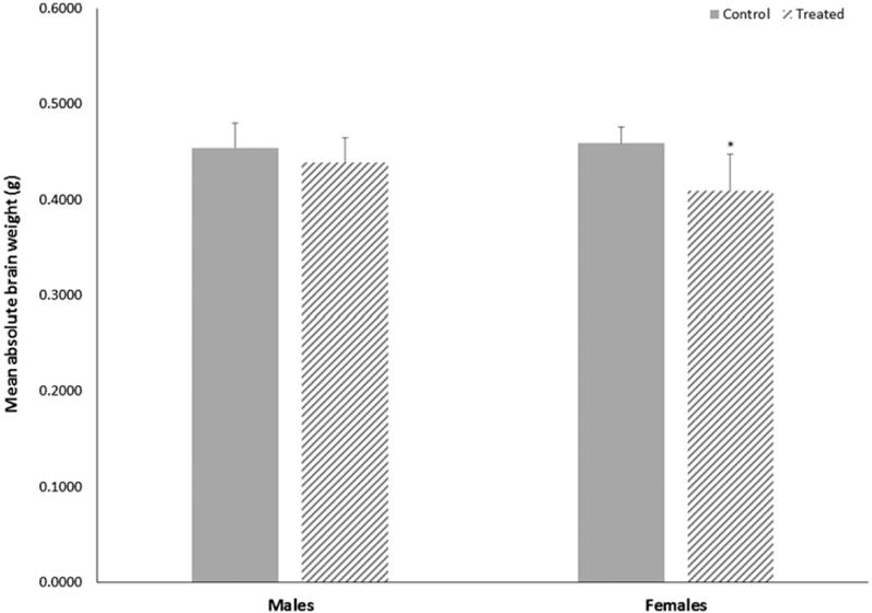 A single dose of trichloroethylene given during development does not substantially alter markers of neuroinflammation in brains of adult mice.