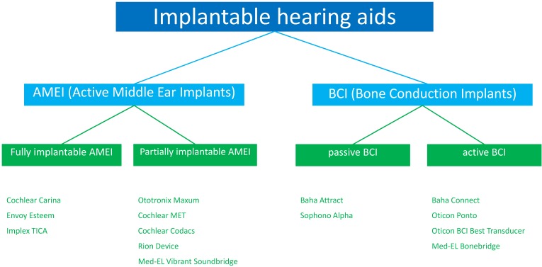 Implantable hearing devices.