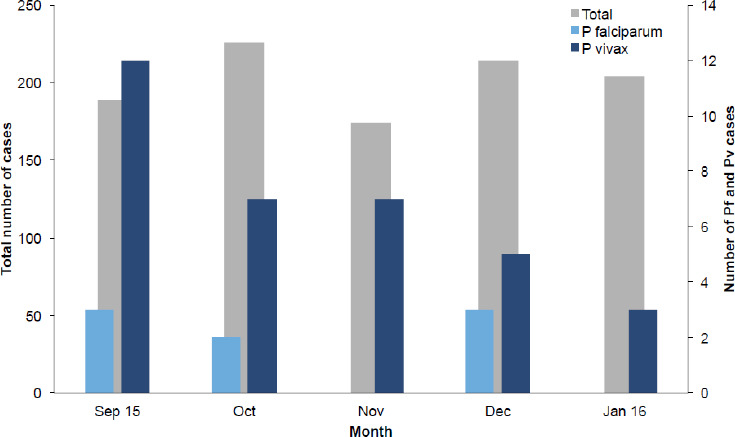 Malaria trends in Silt'i district from 2009-2015 and current childhood malaria in K'ibbet hospital, south-central Ethiopia.