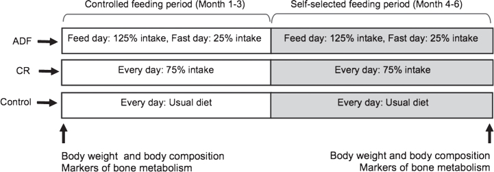 Effect of alternate day fasting on markers of bone metabolism: An exploratory analysis of a 6-month randomized controlled trial.