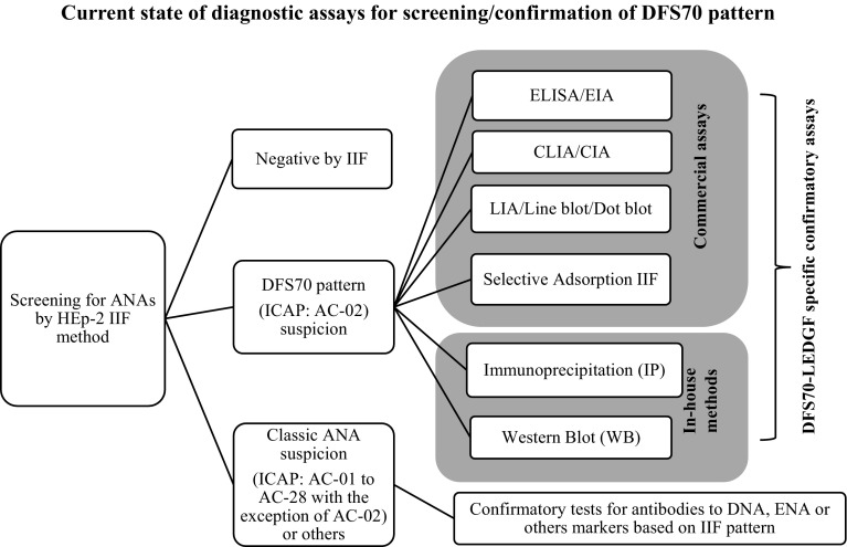 Analysis of DFS70 pattern and impact on ANA screening using a novel HEp-2 ELITE/DFS70 knockout substrate.