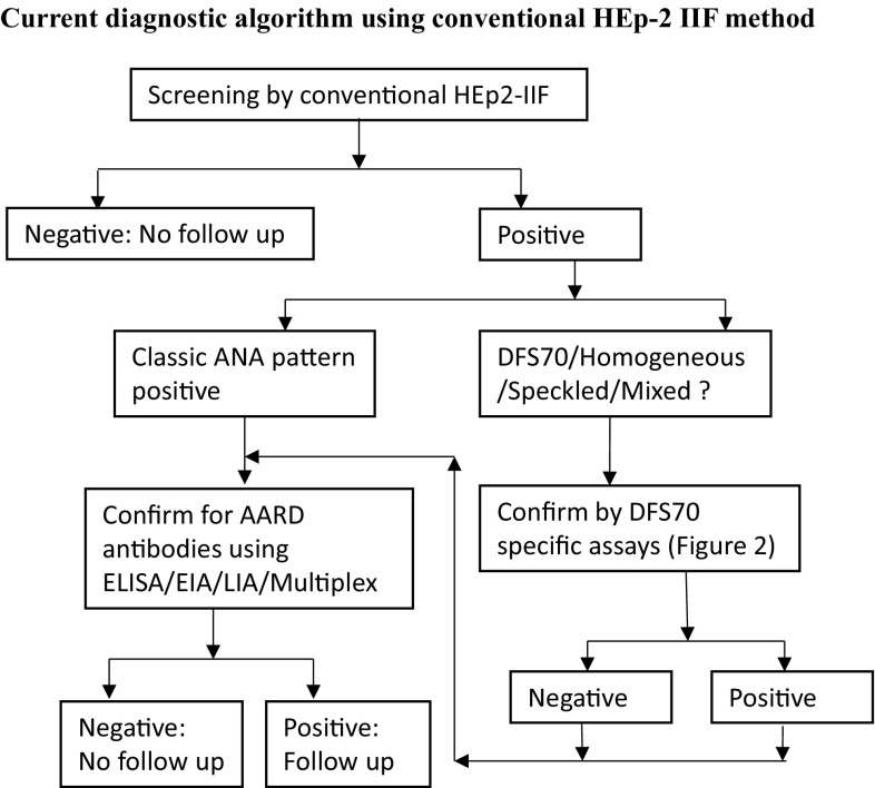 Analysis of DFS70 pattern and impact on ANA screening using a novel HEp-2 ELITE/DFS70 knockout substrate.