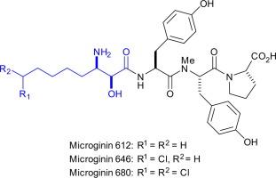 Asymmetric syntheses of the N-terminal α-hydroxy-β-amino acid components of microginins 612, 646 and 680