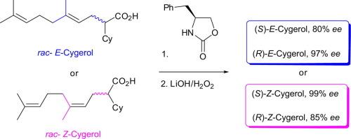 Synthesis and stereochemical assignment of geraniol- and nerol-derived Cygerol enantiomers