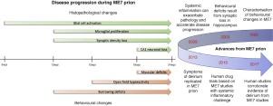 The ME7 prion model of neurodegeneration as a tool to understand and target neuroinflammation in Alzheimer’s disease