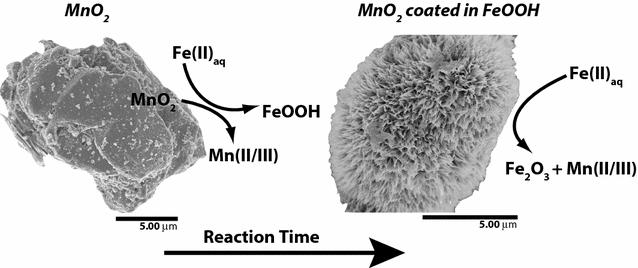 Fe(II) reduction of pyrolusite (β-MnO2) and secondary mineral evolution