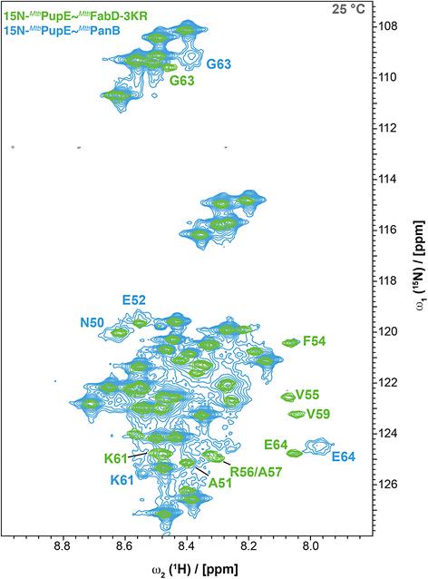 Prokaryotic ubiquitin-like protein remains intrinsically disordered when covalently attached to proteasomal target proteins