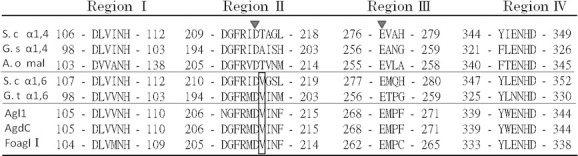 Characterization of Three Fungal Isomaltases Belonging to Glycoside Hydrolase Family 13 That Do not Show Transglycosylation Activity.