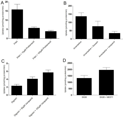 Development and Application of Human Renal Proximal Tubule Epithelial Cells for Assessment of Compound Toxicity.