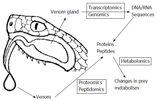 Modern trends in animal venom research - omics and nanomaterials.