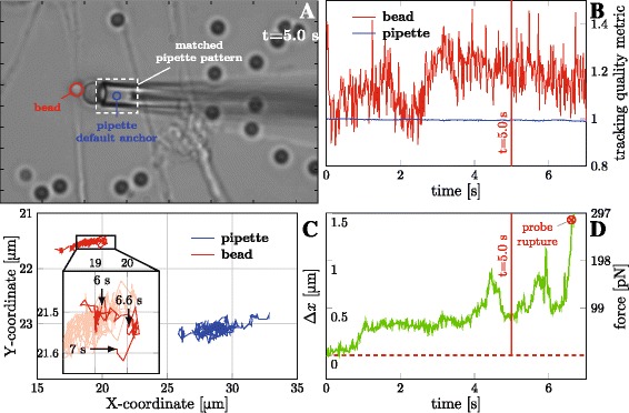 BFPTool: a software tool for analysis of Biomembrane Force Probe experiments.