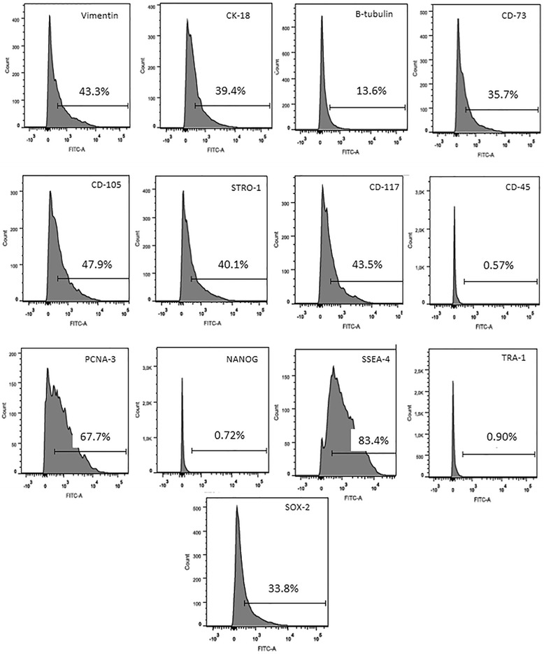 Phenotype and multipotency of rabbit (Oryctolagus cuniculus) amniotic stem cells.