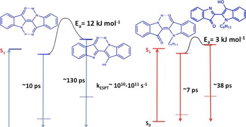 Excited-State Proton Transfer in Indigo