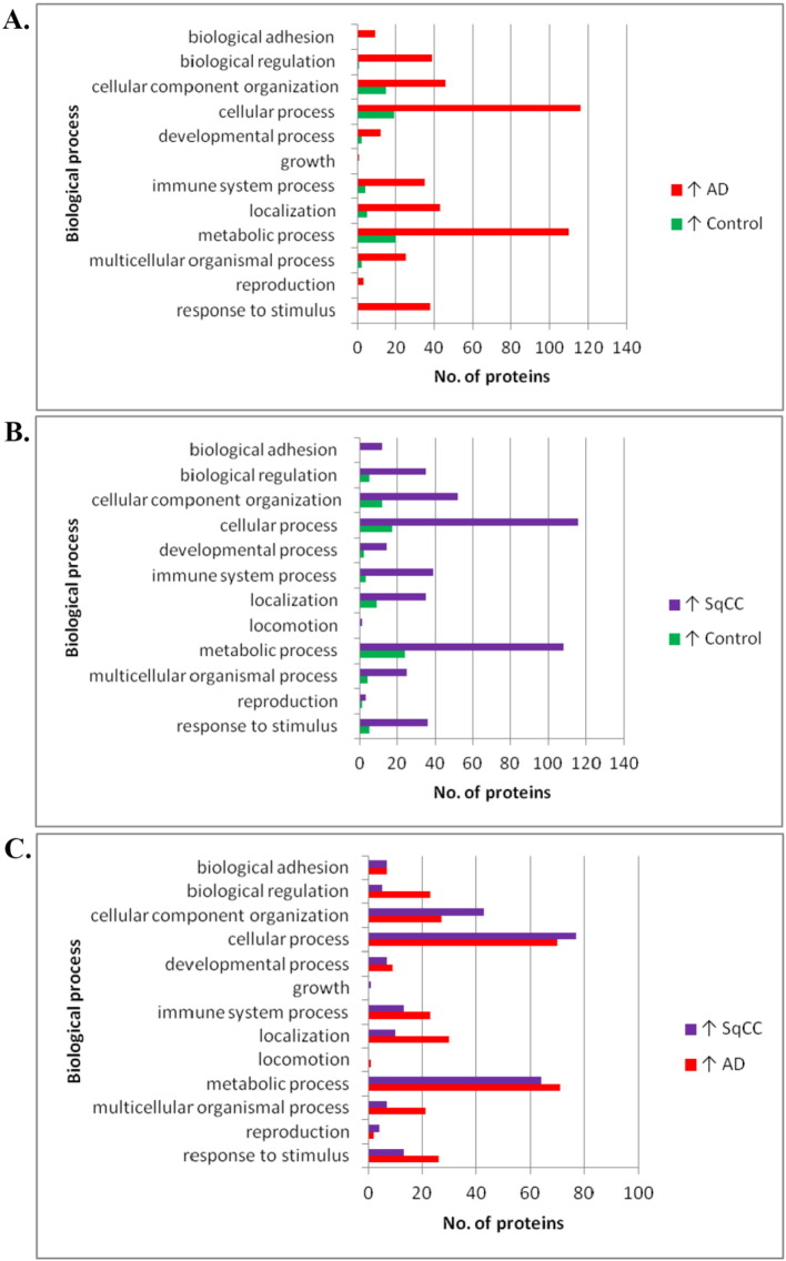 Proteomic analysis of bronchoalveolar lavage fluid (BALF) from lung cancer patients using label-free mass spectrometry