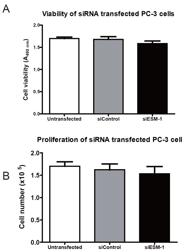 ESM-1 siRNA Knockdown Decreased Migration and Expression of CXCL3 in Prostate Cancer Cells.