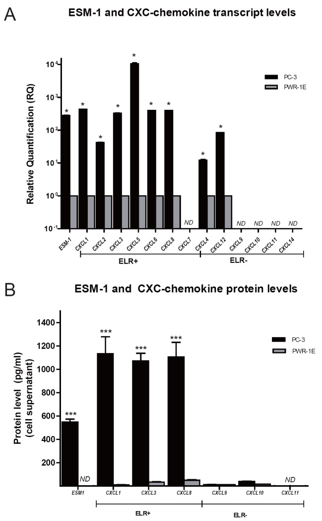 ESM-1 siRNA Knockdown Decreased Migration and Expression of CXCL3 in Prostate Cancer Cells.