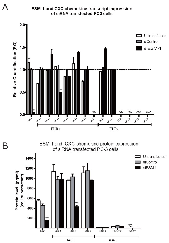 ESM-1 siRNA Knockdown Decreased Migration and Expression of CXCL3 in Prostate Cancer Cells.