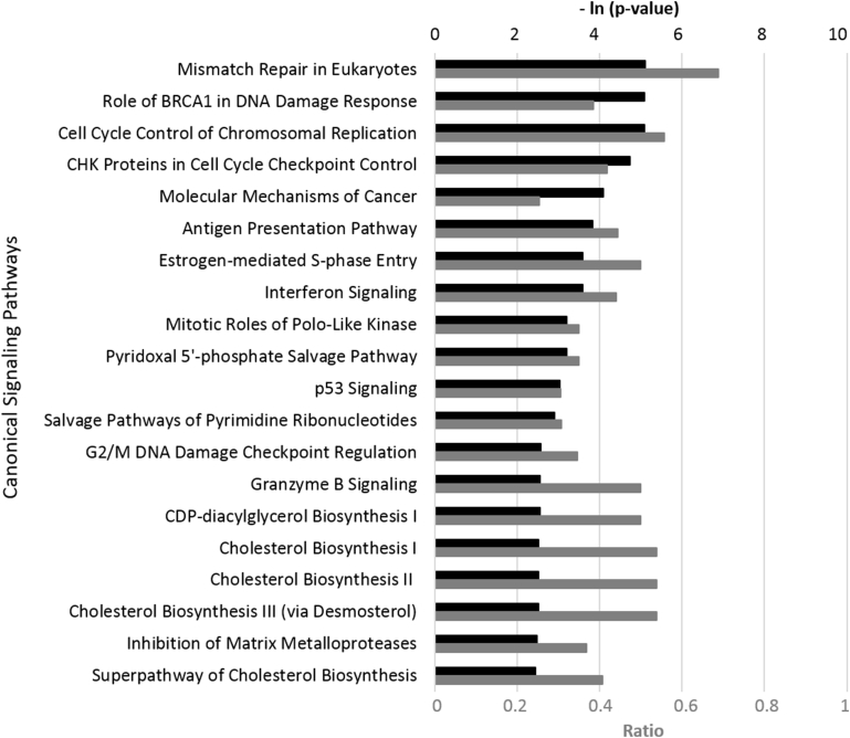 Anti-inflammatory, tissue remodeling, immunomodulatory, and anticancer activities of oregano (Origanum vulgare) essential oil in a human skin disease model