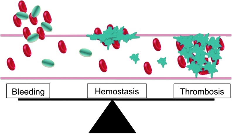 <i>In Vitro</i> and <i>Ex Vivo</i> Approaches to Evaluate Next-Generation Tobacco and Non-Tobacco Products on Human Blood Platelets.