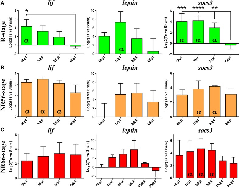 JAK-STAT pathway activation in response to spinal cord injury in regenerative and non-regenerative stages of <i>Xenopus laevis</i>.