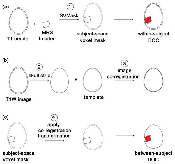 Voxel Placement Precision for GABA-Edited Magnetic Resonance Spectroscopy.