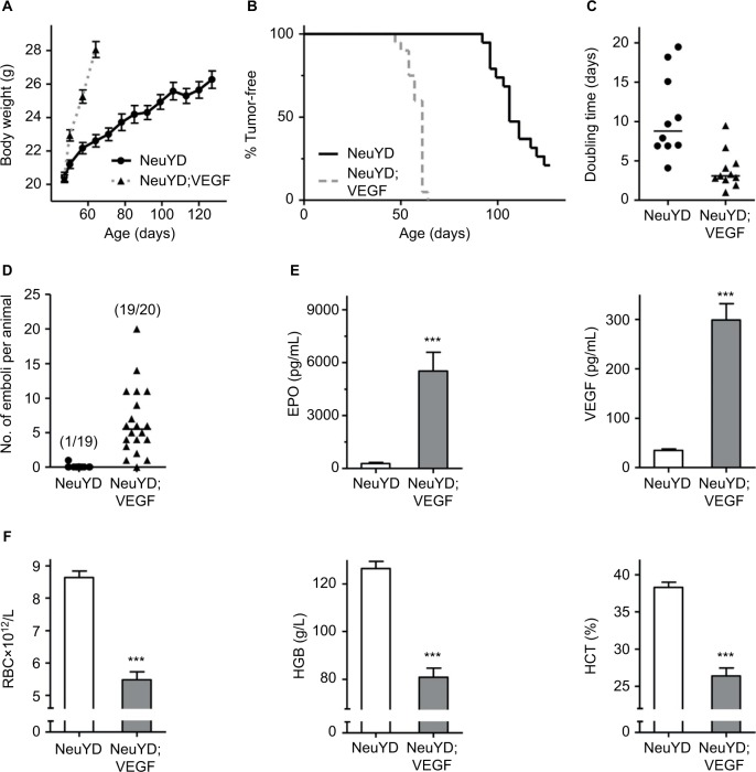 Induction of erythropoiesis by hypoxia-inducible factor prolyl hydroxylase inhibitors without promotion of tumor initiation, progression, or metastasis in a VEGF-sensitive model of spontaneous breast cancer.