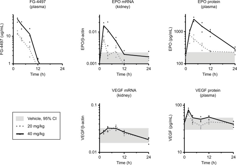 Induction of erythropoiesis by hypoxia-inducible factor prolyl hydroxylase inhibitors without promotion of tumor initiation, progression, or metastasis in a VEGF-sensitive model of spontaneous breast cancer.