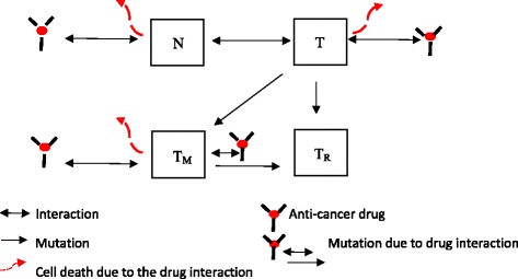 Modeling multi-mutation and drug resistance: analysis of some case studies.