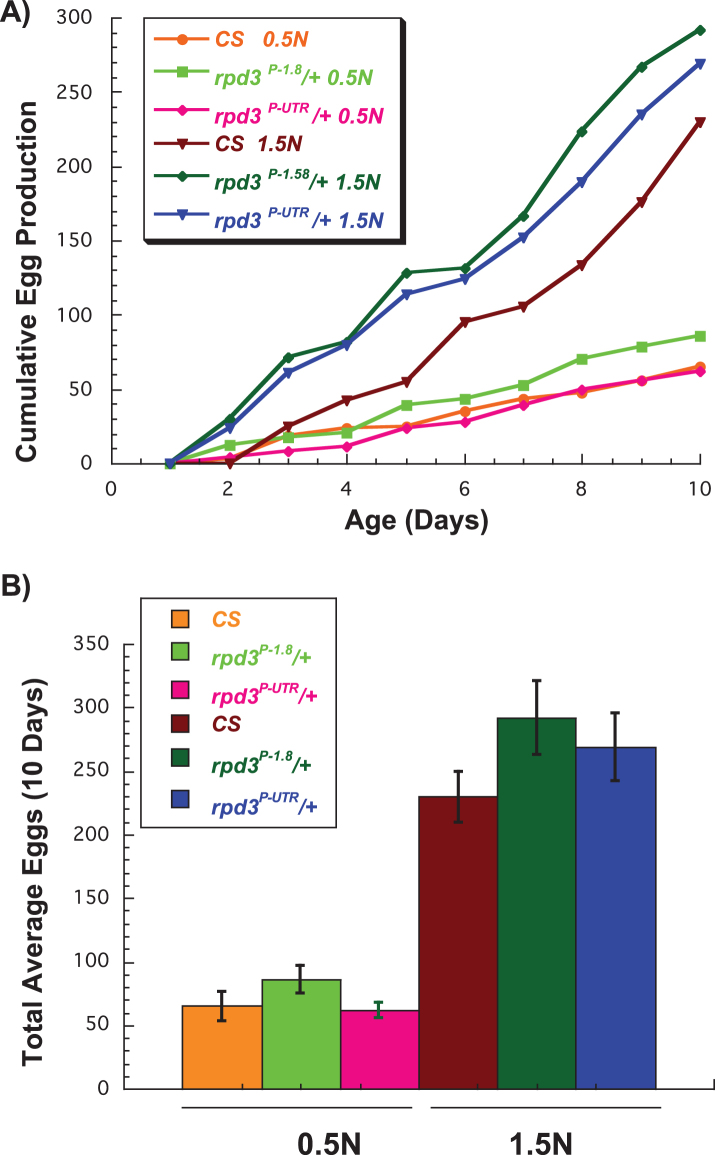 The effects of reduced <i>rpd3</i> levels on fly physiology.