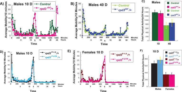 The effects of reduced <i>rpd3</i> levels on fly physiology.