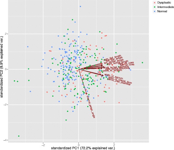 Genetic mapping of principal components of canine pelvic morphology.