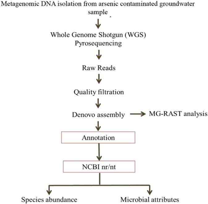 A metagenomic approach to decipher the indigenous microbial communities of arsenic contaminated groundwater of Assam