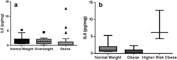 Urinary biomarkers as indicator of chronic inflammation and endothelial dysfunction in obese adolescents.